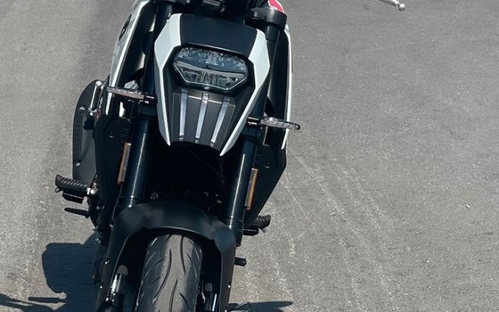 Neufahrzeug Peugeot PM-01 125 - Bild 3