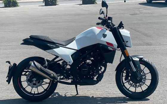 Neufahrzeug Peugeot PM-01 125 - Bild 4