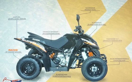 Neufahrzeug Access Xtreme Supermoto 300 - Bild 4