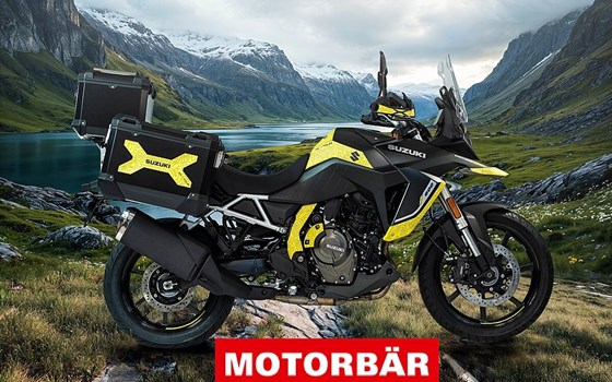 Neufahrzeug Suzuki V-Strom 800 - Bild 1