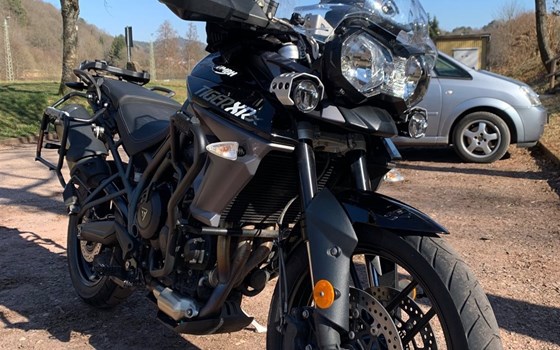 Gebrauchtmotorrad Triumph Tiger 800 XRx - Bild 2
