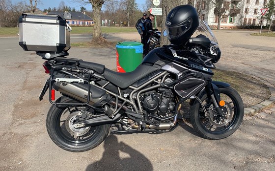 Gebrauchtmotorrad Triumph Tiger 800 XRx - Bild 5