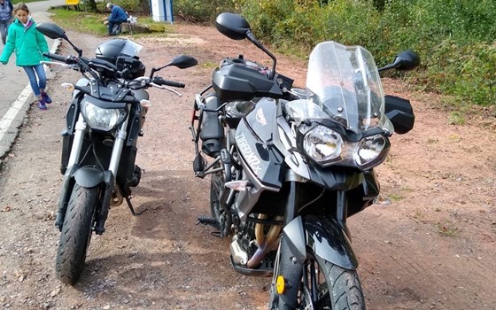 Gebrauchtmotorrad Triumph Tiger 800 XRx - Bild 6