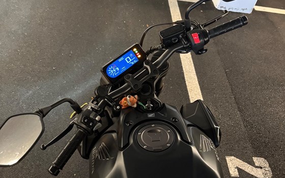 Gebrauchtmotorrad Honda CB650R - Bild 15