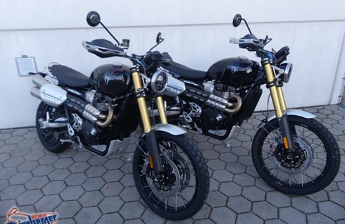 Gebrauchtmotorrad Triumph Scrambler 1200 XE