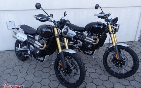 Gebrauchtmotorrad Triumph Scrambler 1200 XE - Bild 1