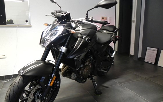 Neufahrzeug Voge R625 - Bild 1