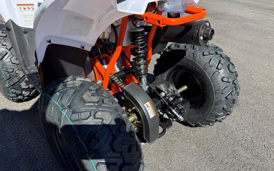 Neufahrzeug Kayo Fox 70 - Bild 7