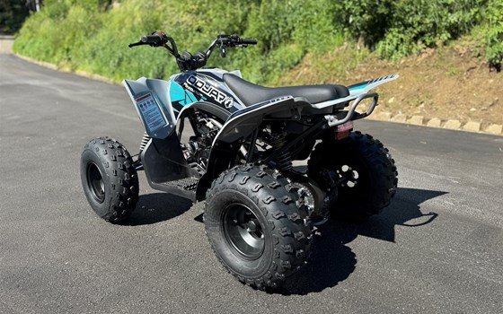 Neufahrzeug Mikilon Pentora ATV 125 - Bild 8