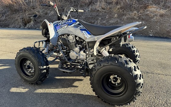 Neufahrzeug Mikilon Pentora ATV 250 - Bild 10