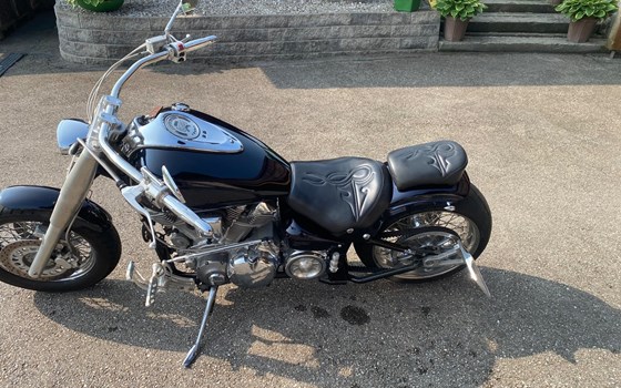Gebrauchtmotorrad Yamaha XV 1600 Wild Star - Bild 3