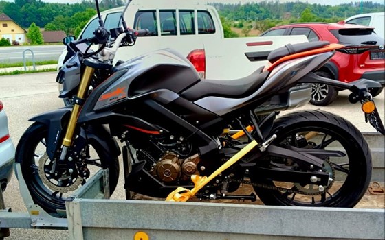 Gebrauchtmotorrad QJ Motor SRK 125 S - Bild 4