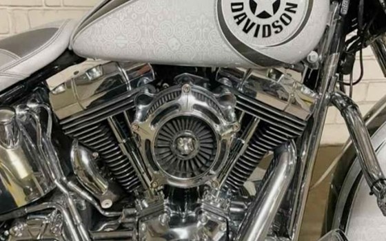 Gebrauchtmotorrad Harley-Davidson Softail Deluxe FLSTN - Bild 1
