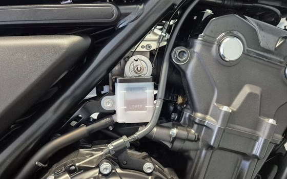 Gebrauchtmotorrad Honda CL500 - Bild 5