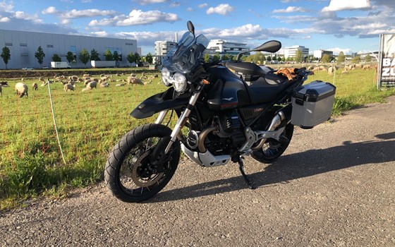 Gebrauchtmotorrad Moto Guzzi V85 TT - Bild 2