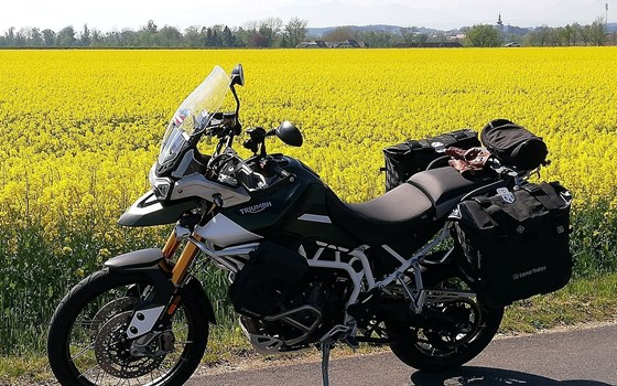 Gebrauchtmotorrad Triumph Tiger 900 Rally Pro - Bild 1