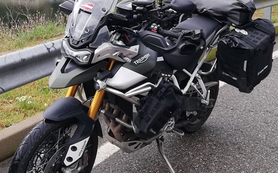 Gebrauchtmotorrad Triumph Tiger 900 Rally Pro - Bild 5