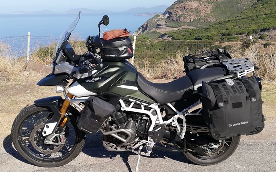 Gebrauchtmotorrad Triumph Tiger 900 Rally Pro - Bild 6