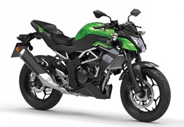 Neumotorrad Kawasaki Z125