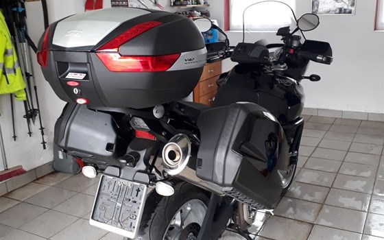 Gebrauchtmotorrad Triumph Tiger 1050 - Bild 3