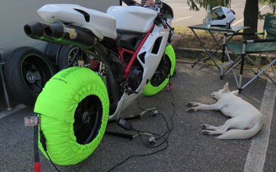 Gebrauchtmotorrad Ducati 1098 - Bild 6