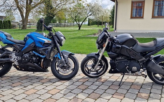 Gebrauchtmotorrad Buell Lightning XB 12 S - Bild 2