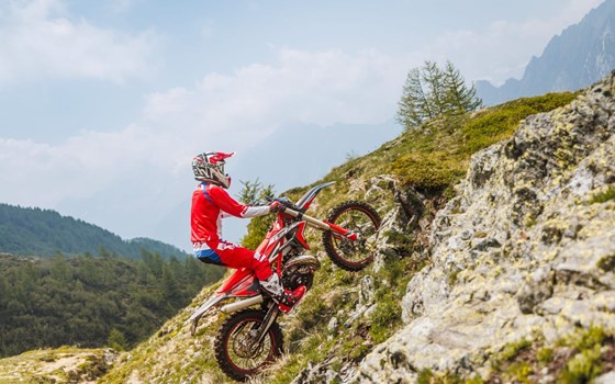 Neufahrzeug Beta Xtrainer 250 - Bild 10