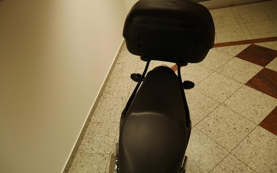 Gebrauchtmotorrad Honda CB 600 F Hornet - Bild 13