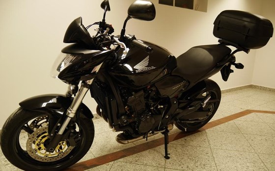 Gebrauchtmotorrad Honda CB 600 F Hornet - Bild 4