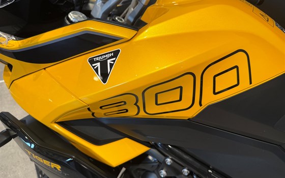 Gebrauchtmotorrad Triumph Tiger Sport 800 - Bild 2