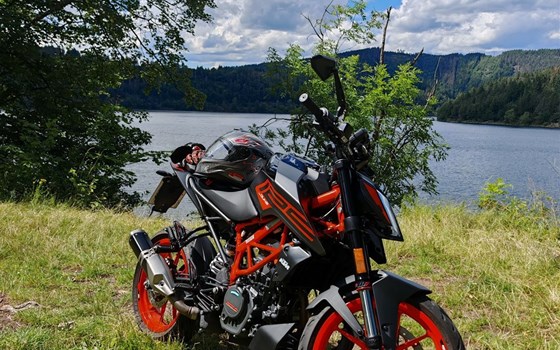 Gebrauchtmotorrad KTM 125 Duke - Bild 2