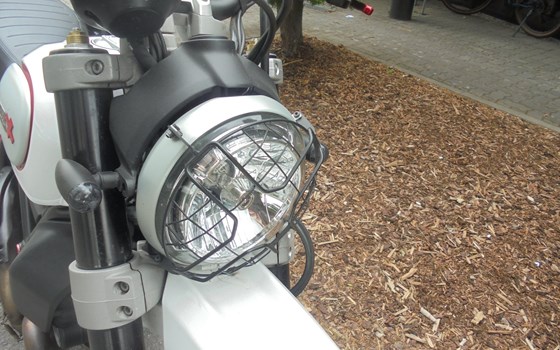 Gebrauchtmotorrad Ducati Scrambler 1100 - Bild 6