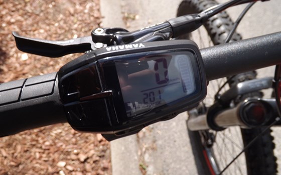 Neufahrzeug GASGAS EnduroGP 250 - Bild 5