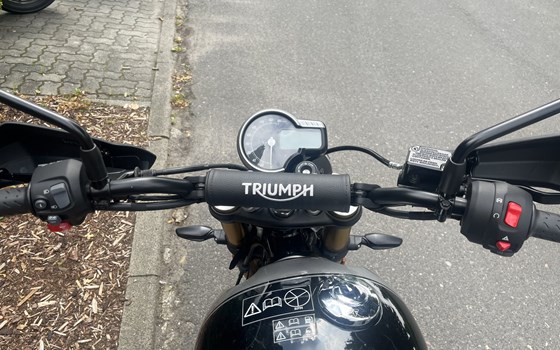 Gebrauchtmotorrad Triumph Scrambler 400 X - Bild 5
