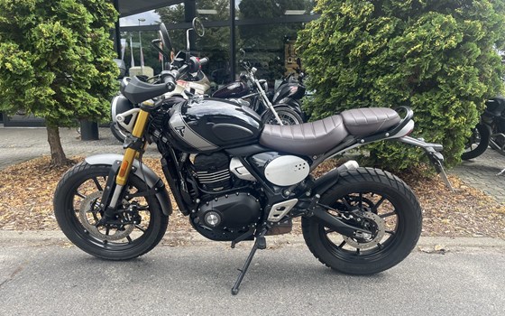 Gebrauchtmotorrad Triumph Scrambler 400 X - Bild 7