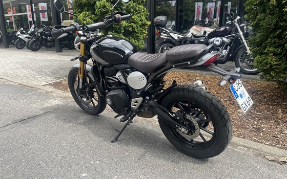 Gebrauchtmotorrad Triumph Scrambler 400 X - Bild 8