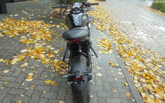 Gebrauchtmotorrad Triumph Trident 660 - Bild 4