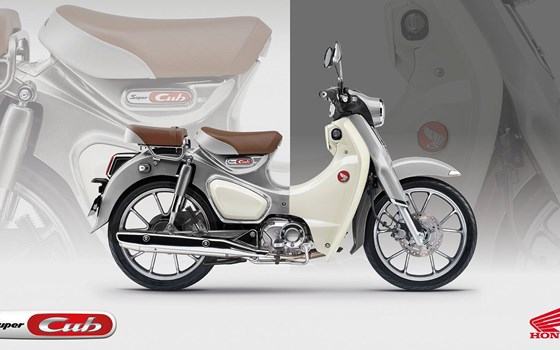 Neufahrzeug Honda Super Cub C 125 - Bild 2