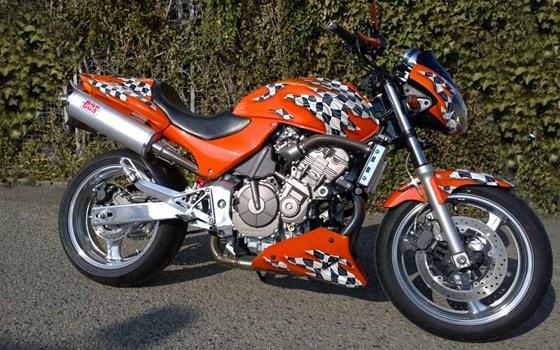 Gebrauchtmotorrad Honda CB 600 F Hornet - Bild 2