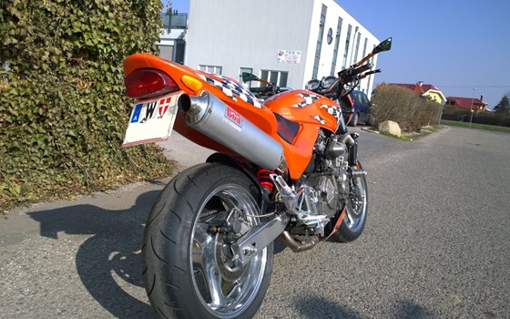 Gebrauchtmotorrad Honda CB 600 F Hornet - Bild 6