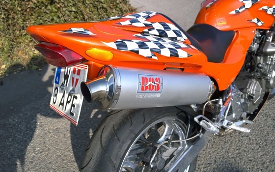 Gebrauchtmotorrad Honda CB 600 F Hornet - Bild 7