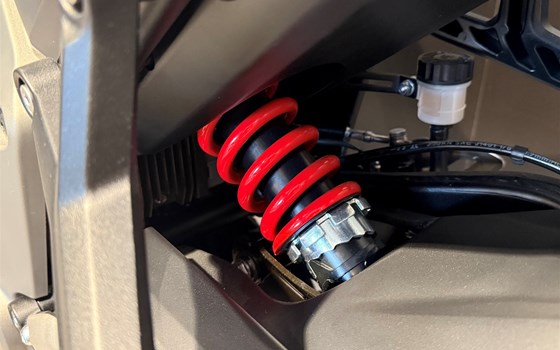 Neufahrzeug Triumph Daytona 660 - Bild 6