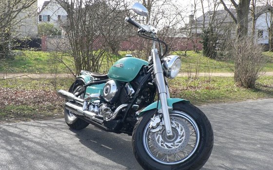 Neufahrzeug Yamaha XVS 650 Drag Star - Bild 3