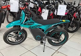 Neumotorrad Apollo RX 250