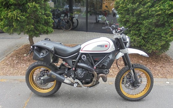 Gebrauchtmotorrad Ducati Scrambler 1100 - Bild 2