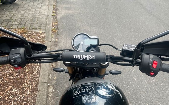 Gebrauchtmotorrad Triumph Scrambler 400 X - Bild 5