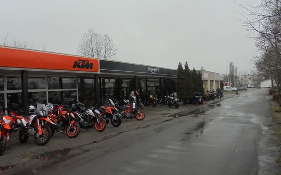 Gebrauchtmotorrad Buell XB 9SX - Bild 15