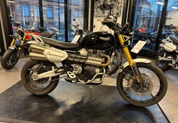Gebrauchte Triumph Scrambler 1200 XE