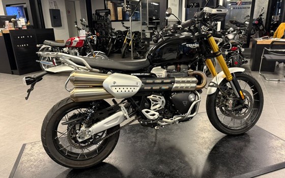 Gebrauchtmotorrad Triumph Scrambler 1200 XE - Bild 3