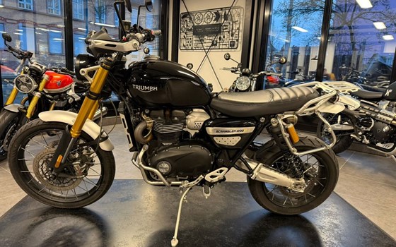 Gebrauchtmotorrad Triumph Scrambler 1200 XE - Bild 4